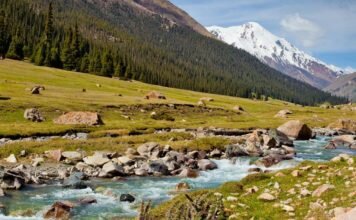 Жер тағдыры – Ел тағдыры!