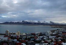 Коронавирусты жеңгенін хабарлады